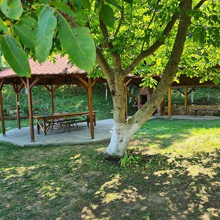 Salas U Bregu In Cheile Carasului Crasova Екстериор снимка