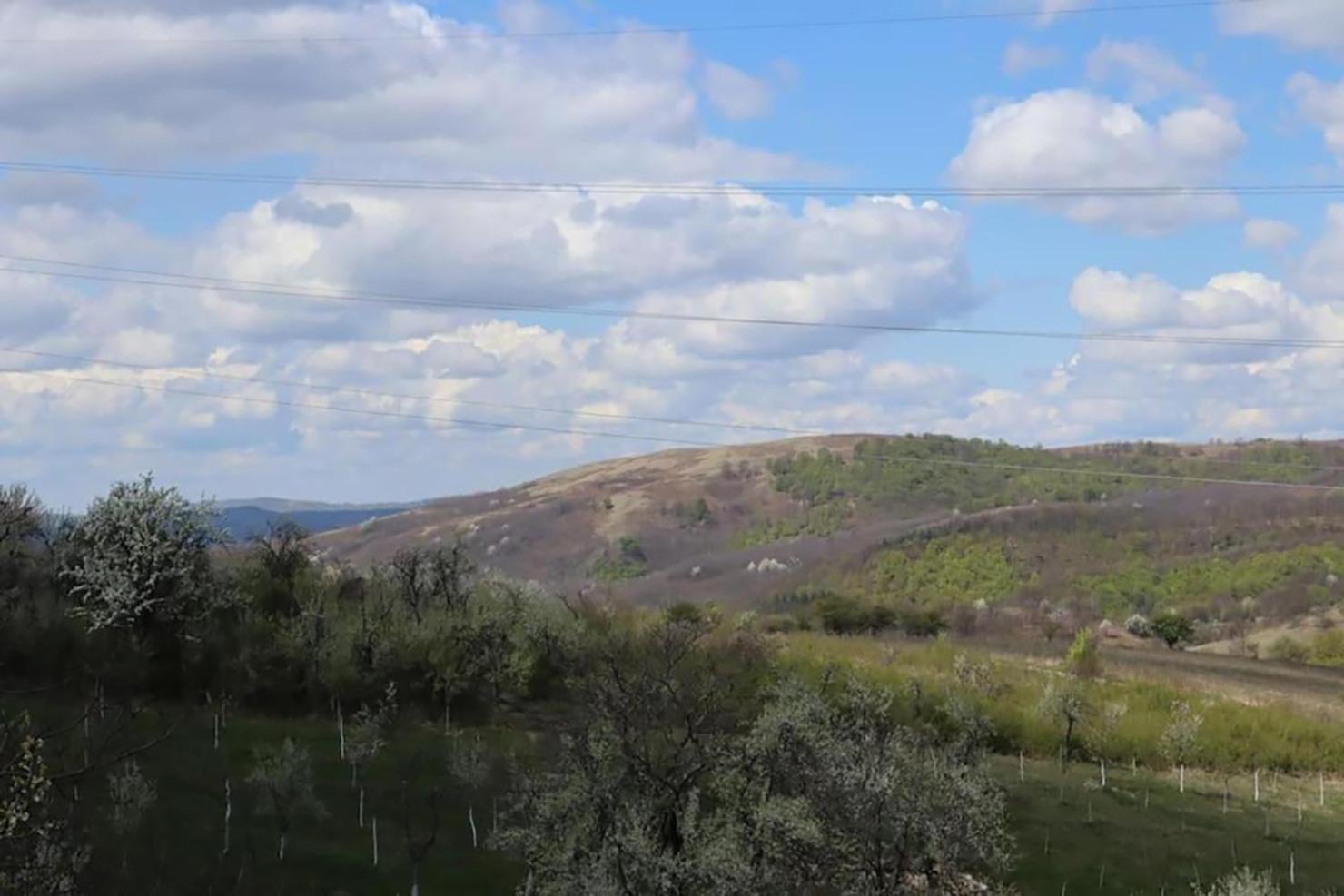 Salas U Bregu In Cheile Carasului Crasova Екстериор снимка
