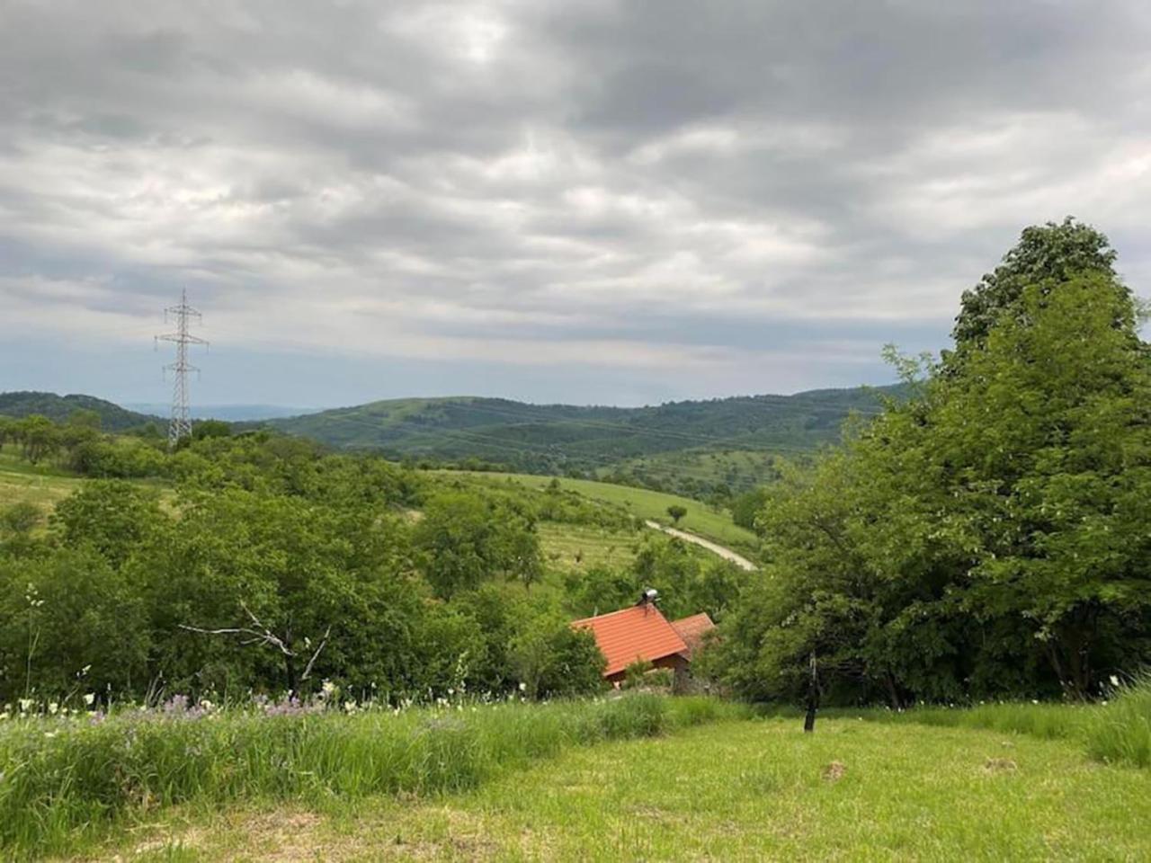 Salas U Bregu In Cheile Carasului Crasova Екстериор снимка